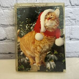 VTG‎ Christmas Card Box Santa Cat Theme NEW 1970s